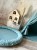 image00013.jpeg