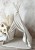 image00077.jpeg