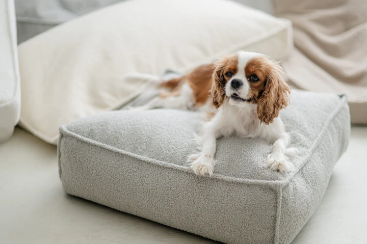 pufa dla dziecka mała.jpg