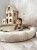 image00013.jpeg