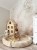 image00014.jpeg