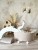 image00001.jpeg