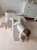 image00019.jpeg