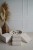 image00006.jpeg