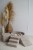 image00018.jpeg