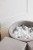 image00054.jpeg