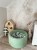 image00003.jpeg