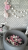 20171026_074514.png