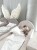 image00140.jpeg