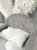 image00001.jpeg